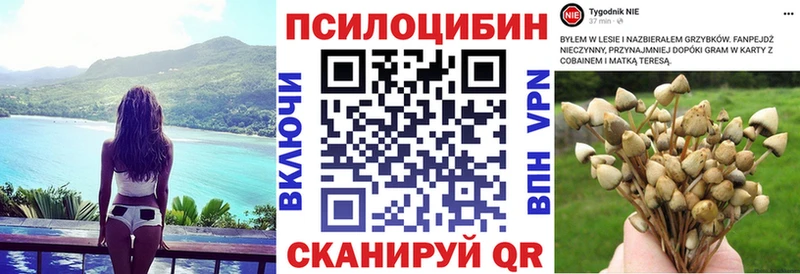 закладка  mega tor  Галлюциногенные грибы мухоморы  Харабали 